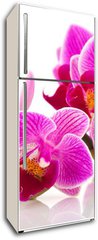 Samolepka na lednici flie 80 x 200, 38877808 - Tropical pink orchid