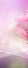 Samolepka na dvee flie 90 x 220, 39098232 - Roses Art Design. Invitation Card