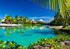 Fototapeta145 x 100  Tropical resort with a green lagoon and palm trees, 145 x 100 cm