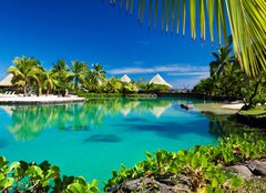 Fototapeta160 x 116  Tropical resort with a green lagoon and palm trees, 160 x 116 cm