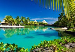 Fototapeta184 x 128  Tropical resort with a green lagoon and palm trees, 184 x 128 cm