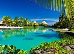 Samolepka flie 270 x 200, 39219849 - Tropical resort with a green lagoon and palm trees