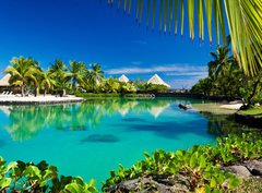 Fototapeta330 x 244  Tropical resort with a green lagoon and palm trees, 330 x 244 cm