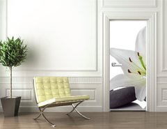 Samolepka na dvee flie 90 x 220  madonna lily and spa stone, 90 x 220 cm