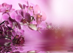 Samolepka flie 100 x 73, 39704074 - Orchid flowers composition - Kompozice kvtin orchidej