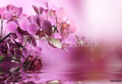 Fototapeta pltno 174 x 120, 39704074 - Orchid flowers composition