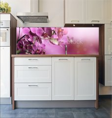 Fototapeta do kuchyn flie 180 x 60, 39704074 - Orchid flowers composition