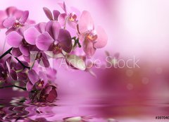 Samolepka flie 200 x 144, 39704074 - Orchid flowers composition