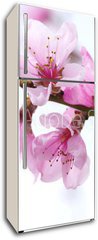 Samolepka na lednici flie 80 x 200  pink blossoms, 80 x 200 cm