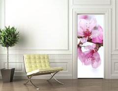 Samolepka na dvee flie 90 x 220, 39835010 - pink blossoms
