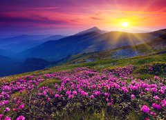 Fototapeta papír 160 x 116, 39975795 - mountain landscape - horské krajiny