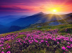 Fototapeta pltno 330 x 244, 39975795 - mountain landscape