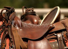 Fototapeta254 x 184  saddle gear, 254 x 184 cm