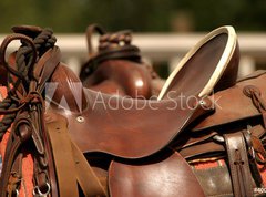 Fototapeta270 x 200  saddle gear, 270 x 200 cm
