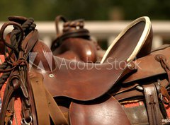 Fototapeta papír 360 x 266, 400196 - saddle gear - sedlovým převodem