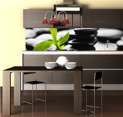 Fototapeta do kuchyn flie 260 x 60  orchid, 260 x 60 cm