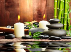 Samolepka flie 100 x 73, 40052213 - spa concept