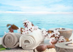 Samolepka flie 200 x 144  Natural spa setting, 200 x 144 cm