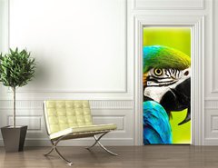 Samolepka na dvee flie 90 x 220, 40257884 - Exotic colorful African macaw parrot - Exotick barevn africk papouek papouek