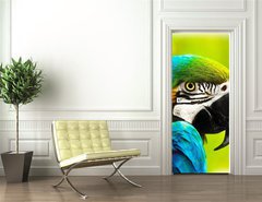 Samolepka na dvee flie 90 x 220  Exotic colorful African macaw parrot, 90 x 220 cm