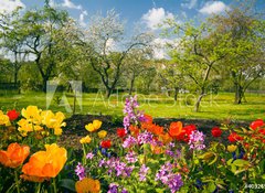 Fototapeta100 x 73  Blumen vor Streuobstgarten, 100 x 73 cm