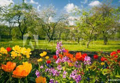Fototapeta174 x 120  Blumen vor Streuobstgarten, 174 x 120 cm