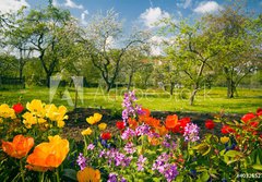 Fototapeta184 x 128  Blumen vor Streuobstgarten, 184 x 128 cm