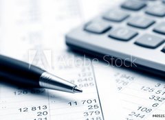 Samolepka flie 100 x 73  Accounting, 100 x 73 cm