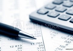 Samolepka flie 145 x 100, 40515377 - Accounting - etnictv