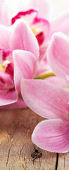 Samolepka na dveře fólie 90 x 220, 40515636 - pink orchid flowers - růžové květy orchidejí