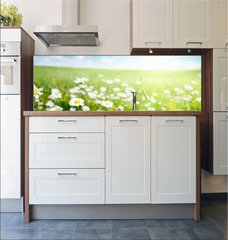 Fototapeta do kuchyn flie 180 x 60, 40565280 - field of daisy flowers