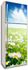 Samolepka na lednici flie 80 x 200, 40565280 - field of daisy flowers