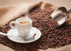 Samolepka flie 100 x 73, 40636184 - Voglia di Caff