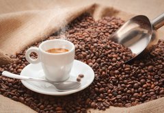 Samolepka flie 145 x 100, 40636184 - Voglia di Caff