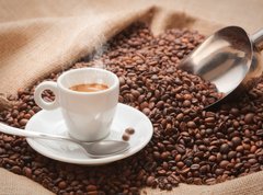 Samolepka flie 270 x 200, 40636184 - Voglia di Caff