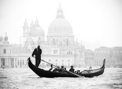 Samolepka flie 100 x 73, 40706071 - Venice