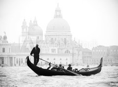 Samolepka flie 270 x 200, 40706071 - Venice