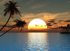 Fototapeta papr 160 x 116, 4073623 - Palms