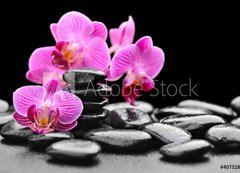 Samolepka flie 200 x 144, 40752844 - orchid - orchidej