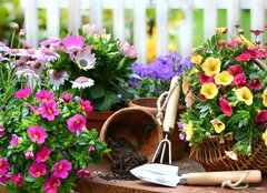 Fototapeta pltno 240 x 174, 40763904 - Garten - zahradn