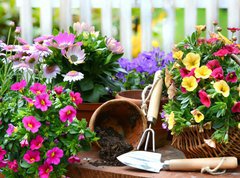 Samolepka flie 270 x 200, 40763904 - Garten - zahradn