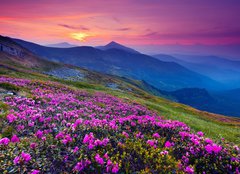 Fototapeta plátno 160 x 116, 40792259 - mountain landscape - horské krajiny