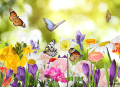 Fototapeta plátno 160 x 116, 408793525 - Many beautiful spring flowers outdoors on sunny day - Mnoho krásných jarních květin venku za slunečného dne