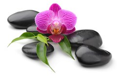 Fototapeta pltno 174 x 120, 40893585 - orchid