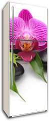 Samolepka na lednici flie 80 x 200, 40893585 - orchid