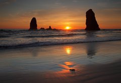 Samolepka flie 145 x 100, 40900437 - cannon beach