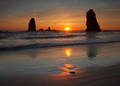 Samolepka flie 200 x 144, 40900437 - cannon beach