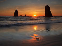 Fototapeta papr 360 x 266, 40900437 - cannon beach