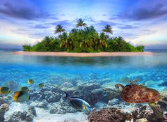 Samolepka flie 100 x 73  Marine life at tropical island of Maldives, 100 x 73 cm