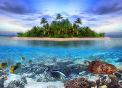 Fototapeta vliesov 200 x 144, 40914644 - Marine life at tropical island of Maldives